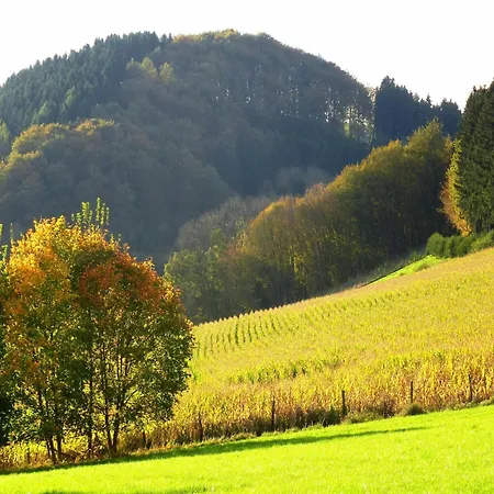 Appartamento In Oberkirchen Nahe Skilift Schmallenberg