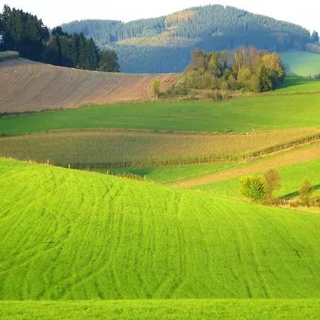 In Oberkirchen Nahe Skilift Apartmán *