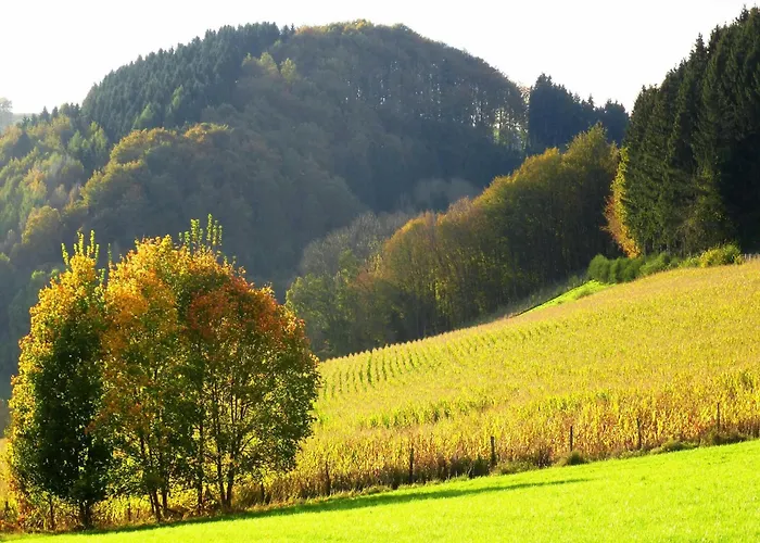Lejlighed In Oberkirchen Nahe Skilift Schmallenberg