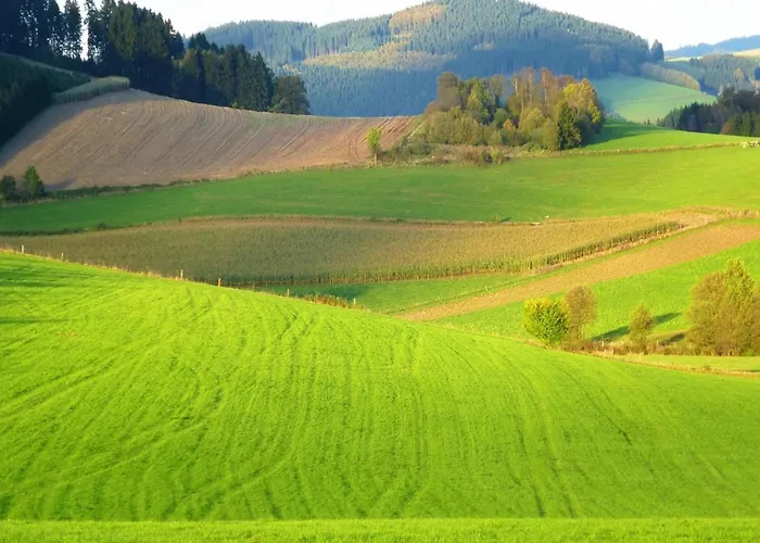In Oberkirchen Nahe Skilift Lejlighed *